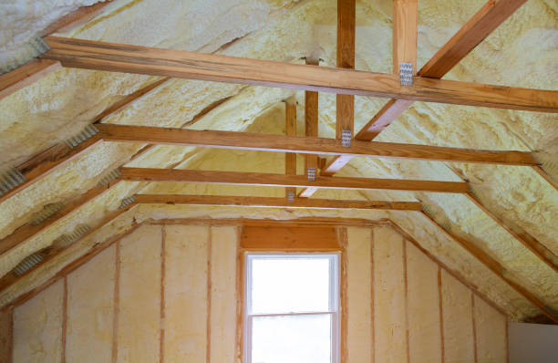 Professional Insulation Contractor in Fletcher, NC