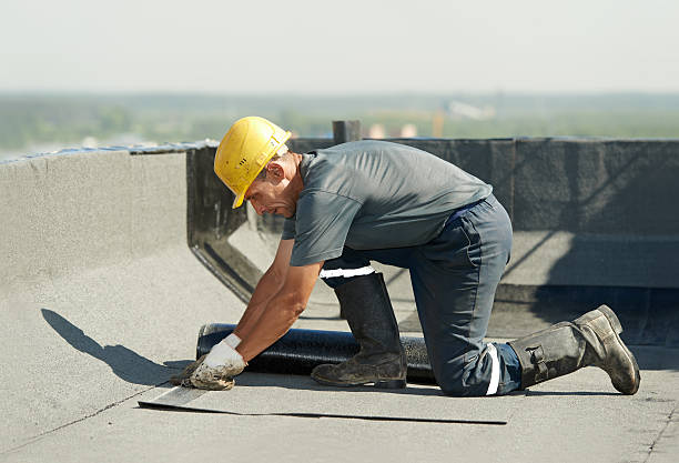 Best Cellulose Insulation in Fletcher, NC