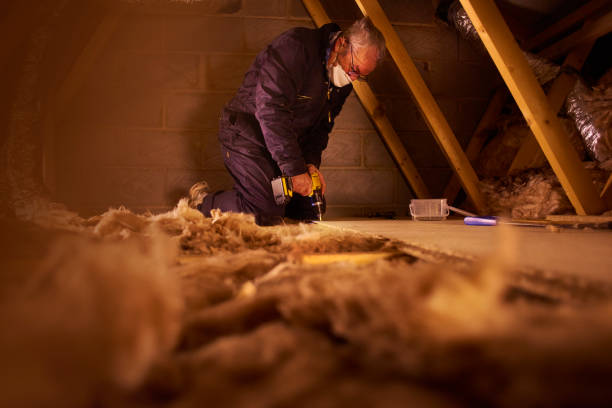 Best DIY Insulation Kits and Guidance in Fletcher, NC