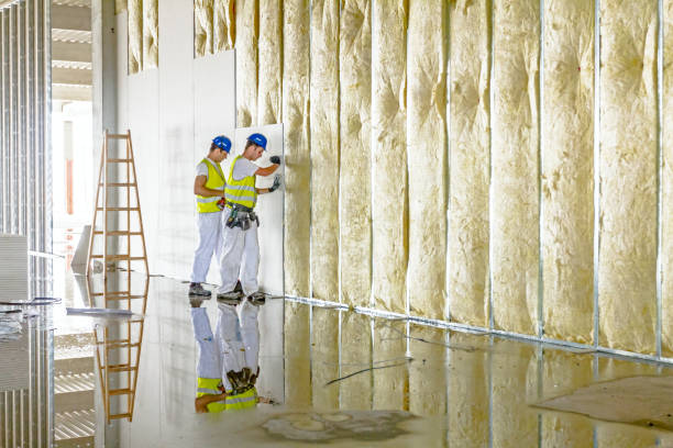 Best Energy Efficiency Insulation in Fletcher, NC